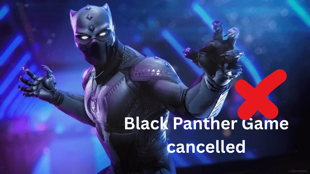 Black Panther Game